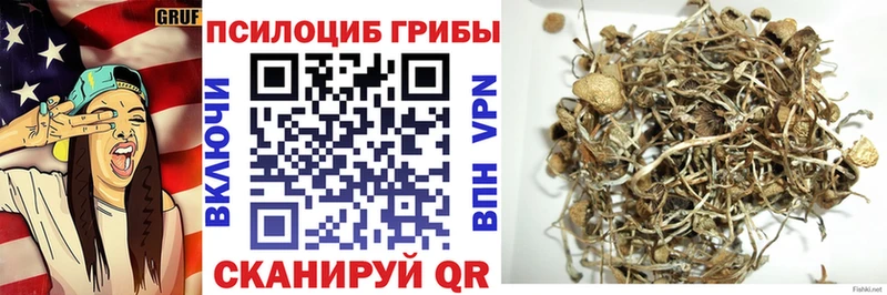 Галлюциногенные грибы прущие грибы  Любань 